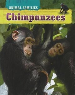 Animal Families Chimpanzees - Brown Bear Books