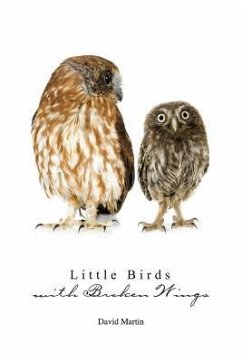 Little Birds with Broken Wings - Martin, David
