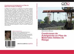 Condiciones de Autoignición en Pilas de Materiales Sólidos de Riesgo