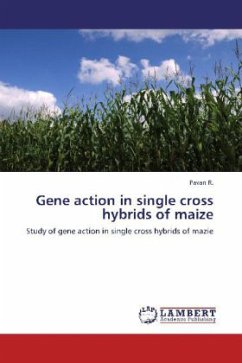 Gene action in single cross hybrids of maize - Pavan, R.