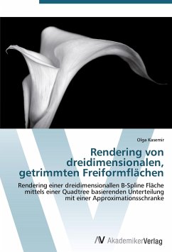 Cover Rendering von dreidimensionalen, getrimmten Freiformflächen