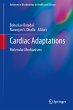 Cardiac Adaptations - Bild 1