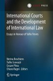 International Courts and the Development of International Law