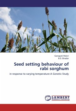 Seed setting behaviour of rabi sorghum