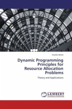 Dynamic Programming Principles for Resource Allocation Problems