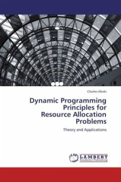 Dynamic Programming Principles for Resource Allocation Problems - Nkeki, Charles