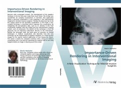 Importance-Driven Rendering in Interventional Imaging