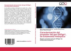 Caracterización del promotor del gen EhPgp1, de Entamoeba histolytica - Ramírez Moreno, María Esther;Gómez García, Consuelo;DeNova Ocampo, Mónica