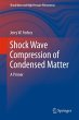 Shock Wave Compression of Condensed... - Bild 1