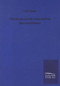 Thermodynamik technischer Gasreaktionen - Haber, Fritz