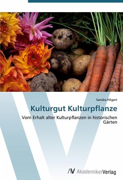 Kulturgut Kulturpflanze - Hilgert, Sandra