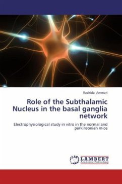 Role of the Subthalamic Nucleus in the basal ganglia network