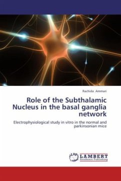 Role of the Subthalamic Nucleus in the basal ganglia network - Ammari, Rachida