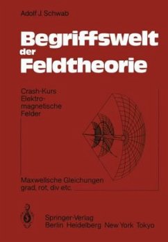Begriffswelt der Feldtheorie - Schwab, Adolf J.