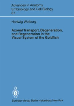 Axonal Transport, Degeneration, and Regeneration in the Visual System of the Goldfish - Wolburg, Hartwig