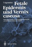 Fetale Epidermis und Vernix caseosa