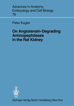 On Angiotensin-Degrading Aminopeptidases in the Rat Kidney - Kugler, P.