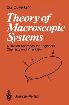 Theory of Macroscopic Systems - Ouwerkerk, Cor