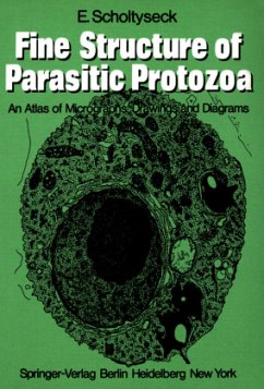 Fine Structure of Parasitic Protozoa - Scholtyseck, E.