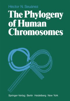 The Phylogeny of Human Chromosomes - Seuanez, H. N.
