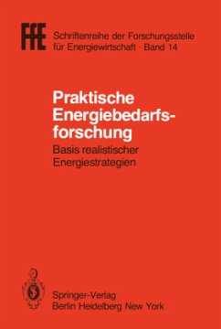 Praktische Energiebedarfsforschung - Schaefer, Helmut