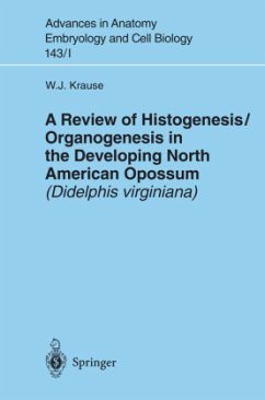 A Review of Histogenesis/Organogenesis in the Developing North American Opossum (Didelphis virginiana) - Krause, William J.