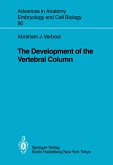 The Development of the Vertebral Column