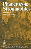 Phanerozoic Stromatolites
