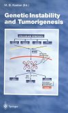 Genetic Instability and Tumorigenesis