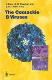 The Coxsackie B Viruses