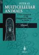 Multicellular Animals - Bild 1