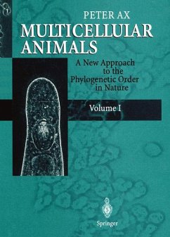 Multicellular Animals - Ax, Peter