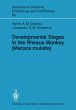 Developmental Stages in the Rhesus... - Bild 1
