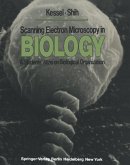Scanning Electron Microscopy in BIOLOGY