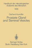 Prostate Gland and Seminal Vesicles