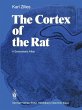 The Cortex of the Rat - Bild 1