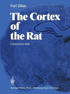 The Cortex of the Rat - Zilles, Karl