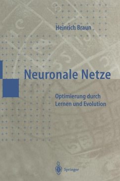 Neuronale Netze - Braun, Heinrich