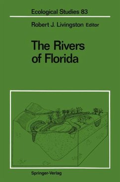 The Rivers of Florida