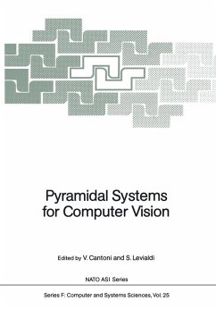 Cover Pyramidal Systems for Computer Vision