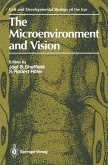 The Microenvironment and Vision