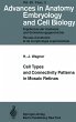 Cell Types and Connectivity Patterns in... - Bild 1