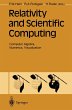 Relativity and Scientific Computing - Bild 1