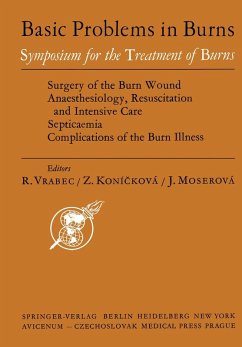 Cover Basic Problems in Burns