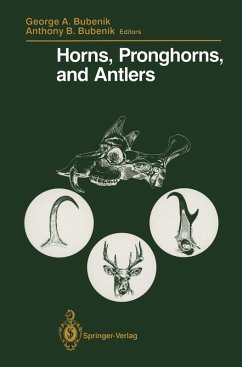 Horns, Pronghorns, and Antlers