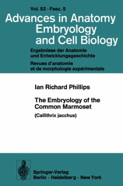 The Embryology of the Common Marmoset - Phillips, I. R.