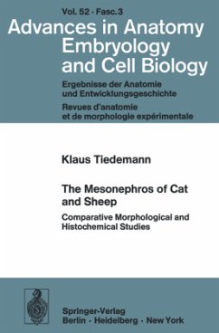 The Mesonephros of Cat and Sheep - Tiedemann, K.