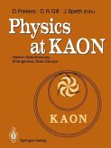 Physics at KAON