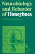 Neurobiology and Behavior of Honeybees - Bild 1