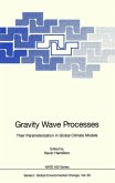 Gravity Wave Processes